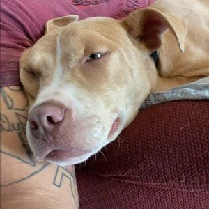 Meet your Posher, Jade